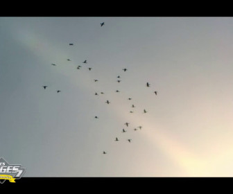 Les Anges 7 - Episode 35